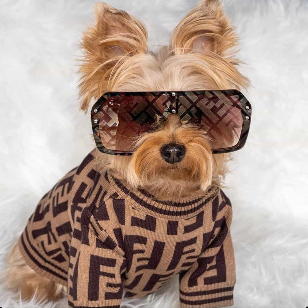 Luxury Patterned Knit Dog Sweater, Brown Designer Style Pet Clothing